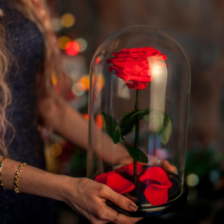 Criogenați - Trandafir Criogenat Roșu în Cupolă de Sticlă