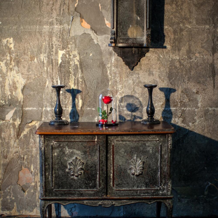 Trandafir Criogenat Roșu în Cupolă de Sticlă [4]