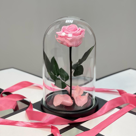 Criogenați - Trandafir Criogenat Roz în Cupolă de Sticlă