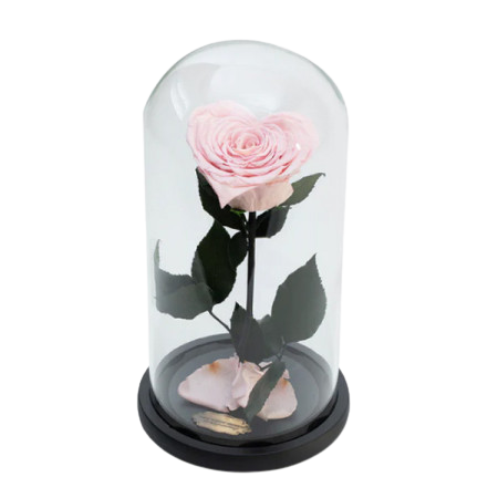 Trandafir Criogenat Roz în Formă de Inimă [1]