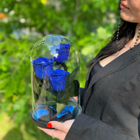 Trandafiri Criogenați Albaștri în Cupolă de Sticlă (3 tije) [2]