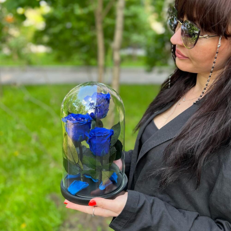 Trandafiri Criogenați Albaștri în Cupolă de Sticlă (3 tije) [1]