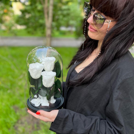 Trandafiri Criogenați Roz în Cupolă de Sticlă (3 tije) [1]