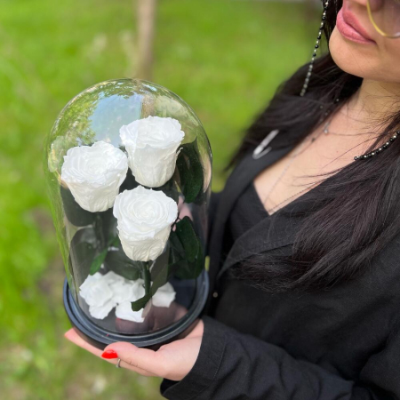 Trandafiri Criogenați Roz în Cupolă de Sticlă (3 tije) [5]