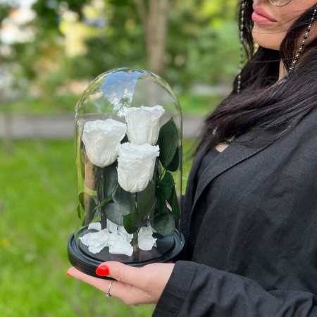 Trandafiri Criogenați Roz în Cupolă de Sticlă (3 tije) [3]