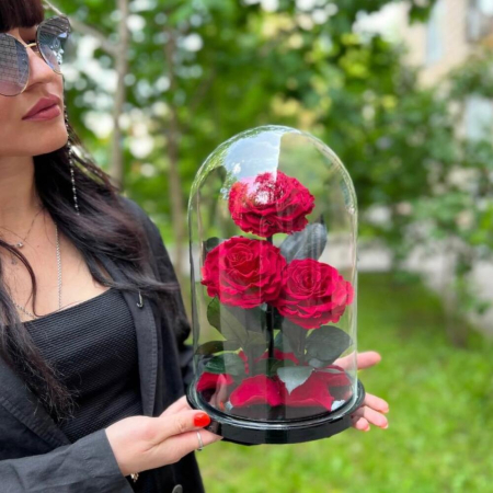 Trandafiri Criogenați Roșii în Cupolă de Sticlă (3 tije) [2]