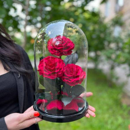 Trandafiri Criogenați Roșii în Cupolă de Sticlă (3 tije) [5]