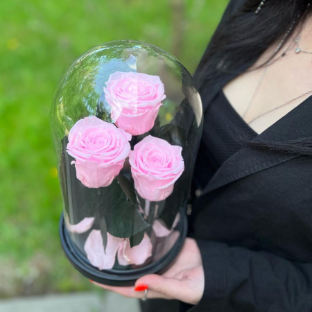 Trandafiri Criogenați Roz în Cupolă de Sticlă (3 tije) [4]