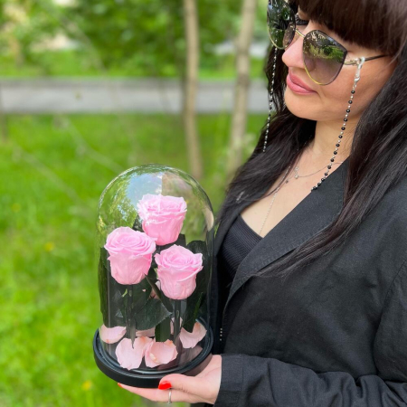 Criogenați - Trandafiri Criogenați Roz în Cupolă de Sticlă (3 tije)
