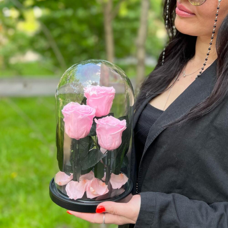 Trandafiri Criogenați Roz în Cupolă de Sticlă (3 tije) [5]