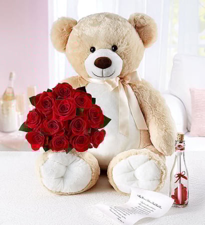 Surprize la Domiciliu - Urs de Pluș cu Trandafiri