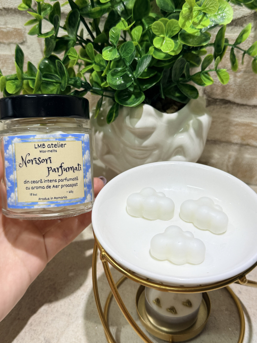 Wax Melts din Ceară de Soia – Norișori Parfumați Aer Proaspăt | 72h parfum [4]