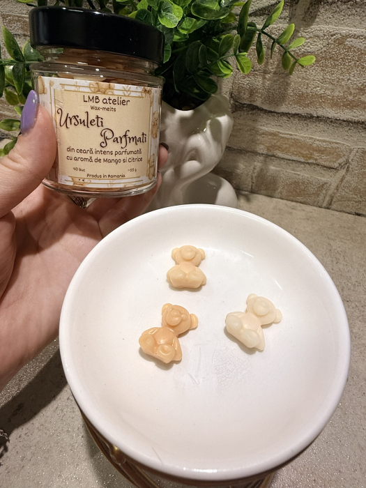 Wax Melts Mango & Citrice – Ursuleți Intens Parfumați din Soia [4]