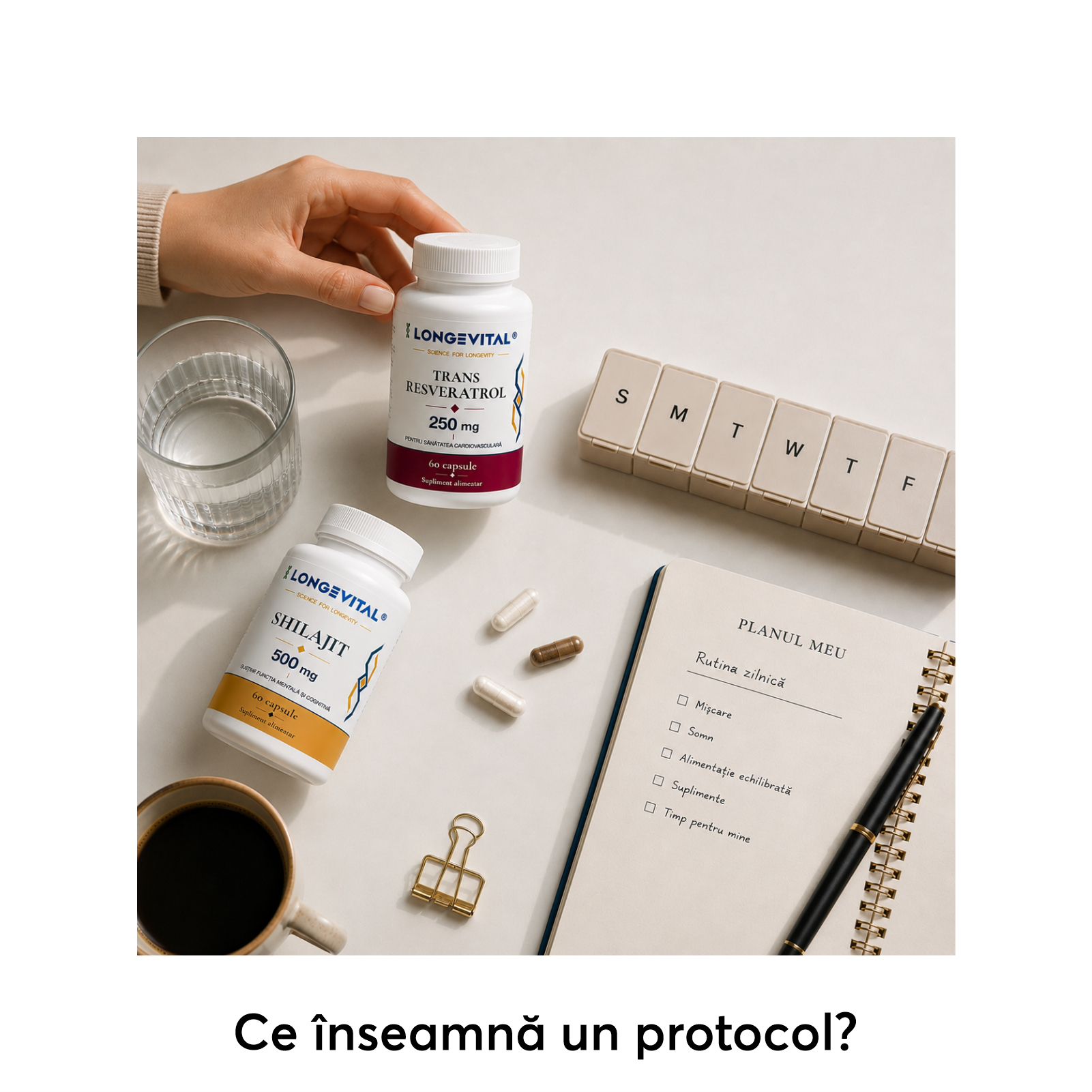Ce înseamnă un protocol?