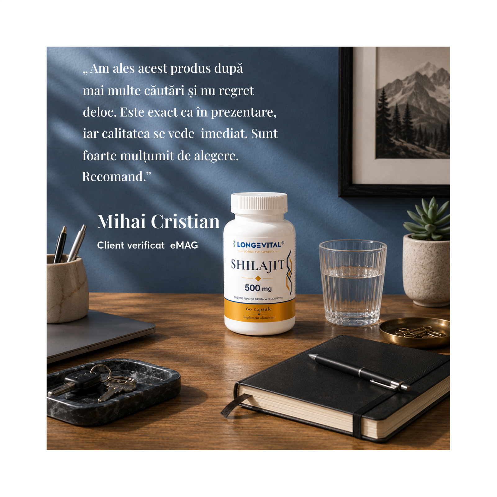 Recenzie Shilajit