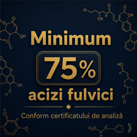 Shilajit Longevital Extended Pack – 3 x 60 capsule [1]
