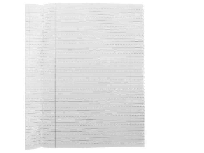 Caiet A5 Tip 2 ECADA – 48 File, Capsat, Diverse Modele [2]