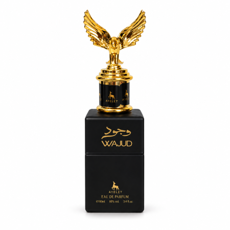 Parfum Unisex AYELET WAJUD Eau de Parfum 100 ml [1]