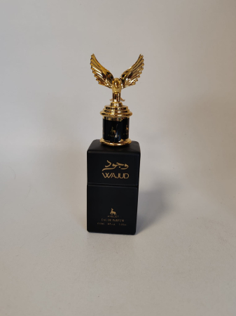 Parfum Unisex AYELET WAJUD Eau de Parfum 100 ml [1]