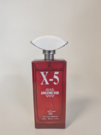 Parfum X-5 Amazing Oud Eau de Parfum 100 ml [1]
