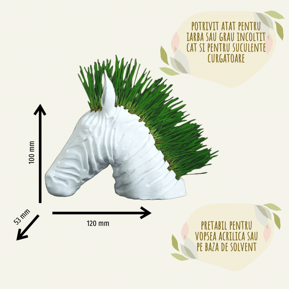Suport decorativ modern zebra, pentru flori curgatoare, iarba sau grau [5]