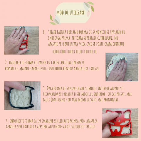 Forma pentru sandwichuri Super Erou Batman [4]
