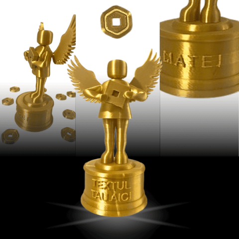 Produse personalizabile - Trofeu personalizabil Roblox cu 10 Monede Robux
