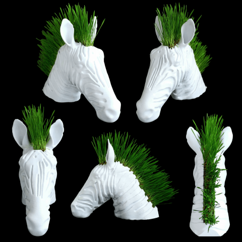 Suport decorativ modern zebra, pentru flori curgatoare, iarba sau grau [5]