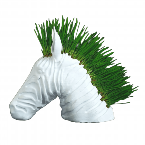 Home & Deco - Suport decorativ modern zebra, pentru flori curgatoare, iarba sau grau