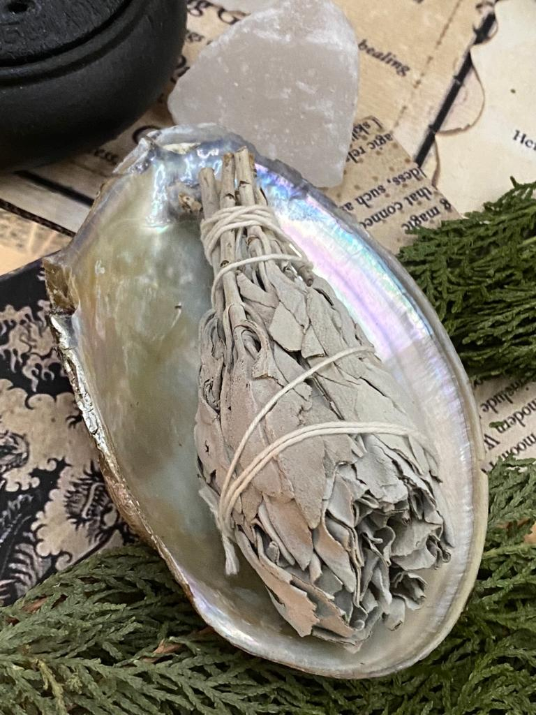 set salvie alba tip torta cu scoica ritualica-curatare energetica- [2]