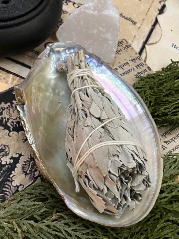 set salvie alba tip torta cu scoica ritualica-curatare energetica- [1]