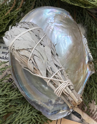 Altar si Fumigatie-Obiecte pentru Ritual si Curatare  Energetica - set salvie alba tip torta cu scoica ritualica-curatare energetica-