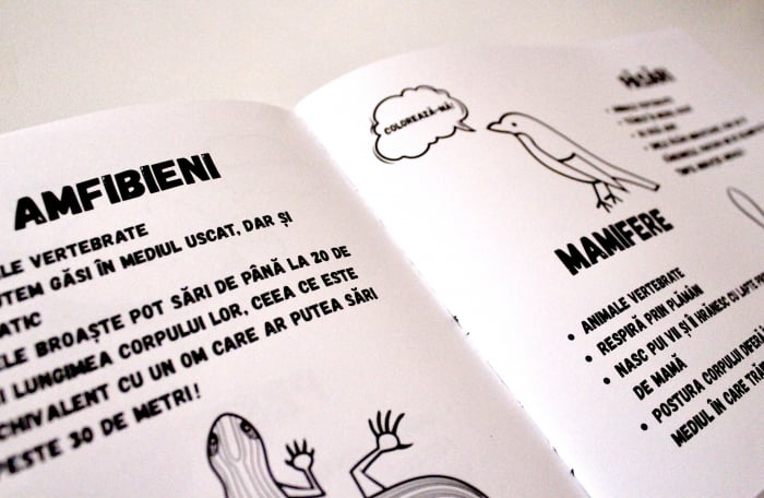 Caiet de stiinte ale naturii pentru clasele 1-4 [4]