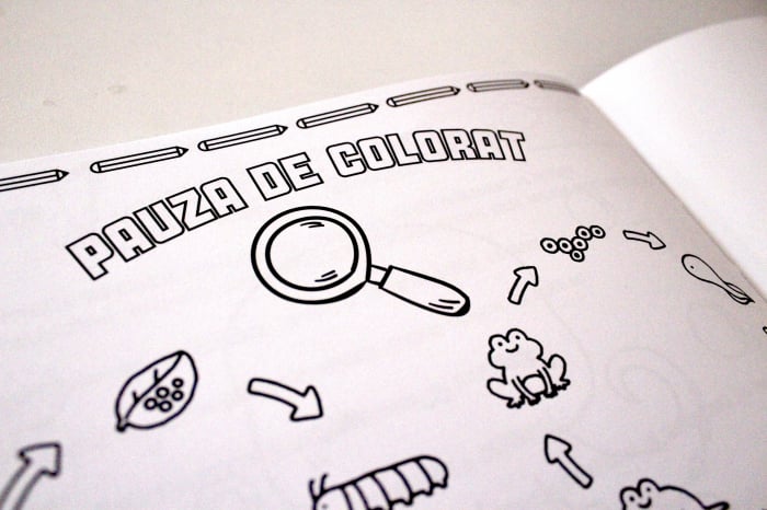 Caiet de stiinte ale naturii pentru clasele 1-4 [8]