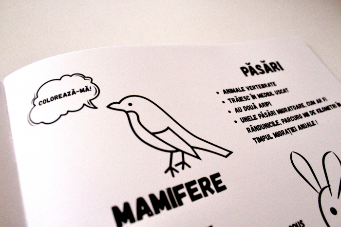 Caiet de stiinte ale naturii pentru clasele 1-4 [5]