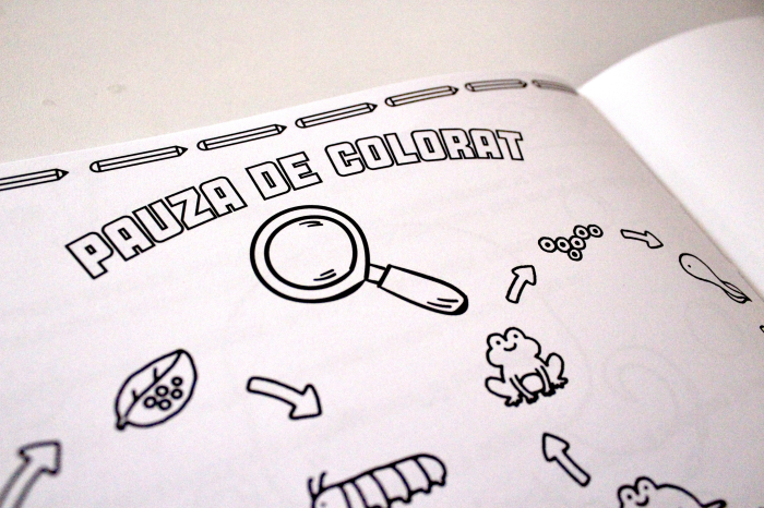 Ofertă 1+1 GRATIS - Caiete de științe ale naturii pentru clasele 1-4 [8]