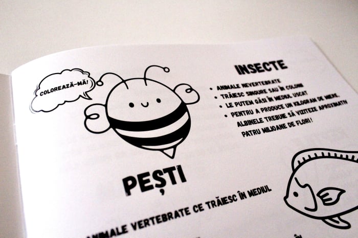 Ofertă 1+1 GRATIS - Caiete de științe ale naturii pentru clasele 1-4 [3]