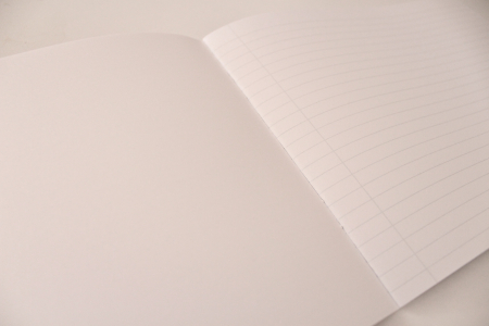 Caiet de stiinte ale naturii pentru clasele 1-4 [8]