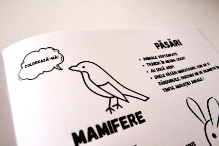 Ofertă 1+1 GRATIS - Caiete de științe ale naturii pentru clasele 1-4 [4]