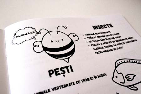 Ofertă 1+1 GRATIS - Caiete de științe ale naturii pentru clasele 1-4 [2]