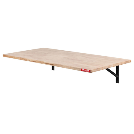 Auto - POLITA LUCRU PERETE PLIABILA 120X58CM / 90KG