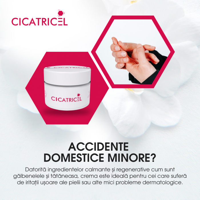 Crema Naturista Cicatricel - Vindecare Rapida pentru Tatuaje, Rani Acute, Arsuri Solare, Julituri, Leziuni, Vanatai, Taieturi, Iritatii, Cicatrici, 50ml [14]