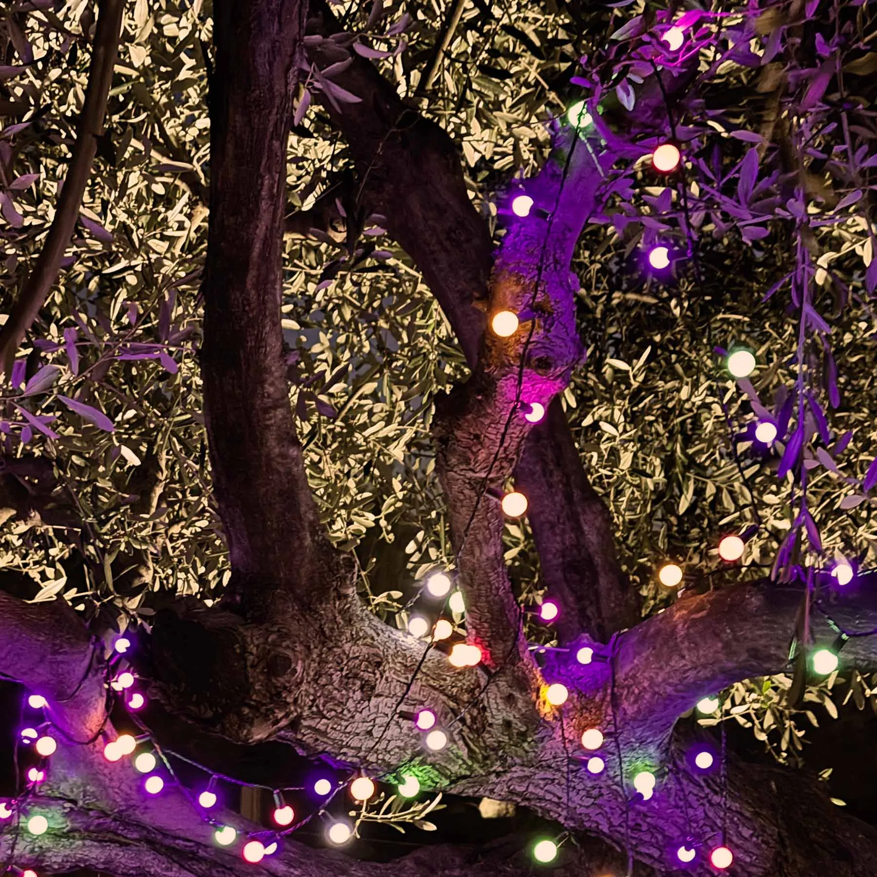 Ghirlandă luminoasă solară BILLY SOLAR RGB [4]