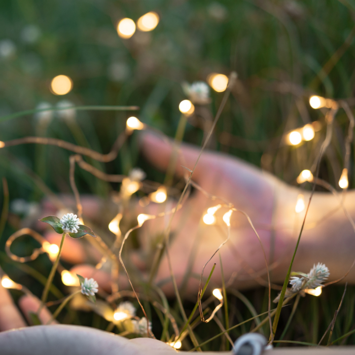 SKINNY SOLAR 100 [2]