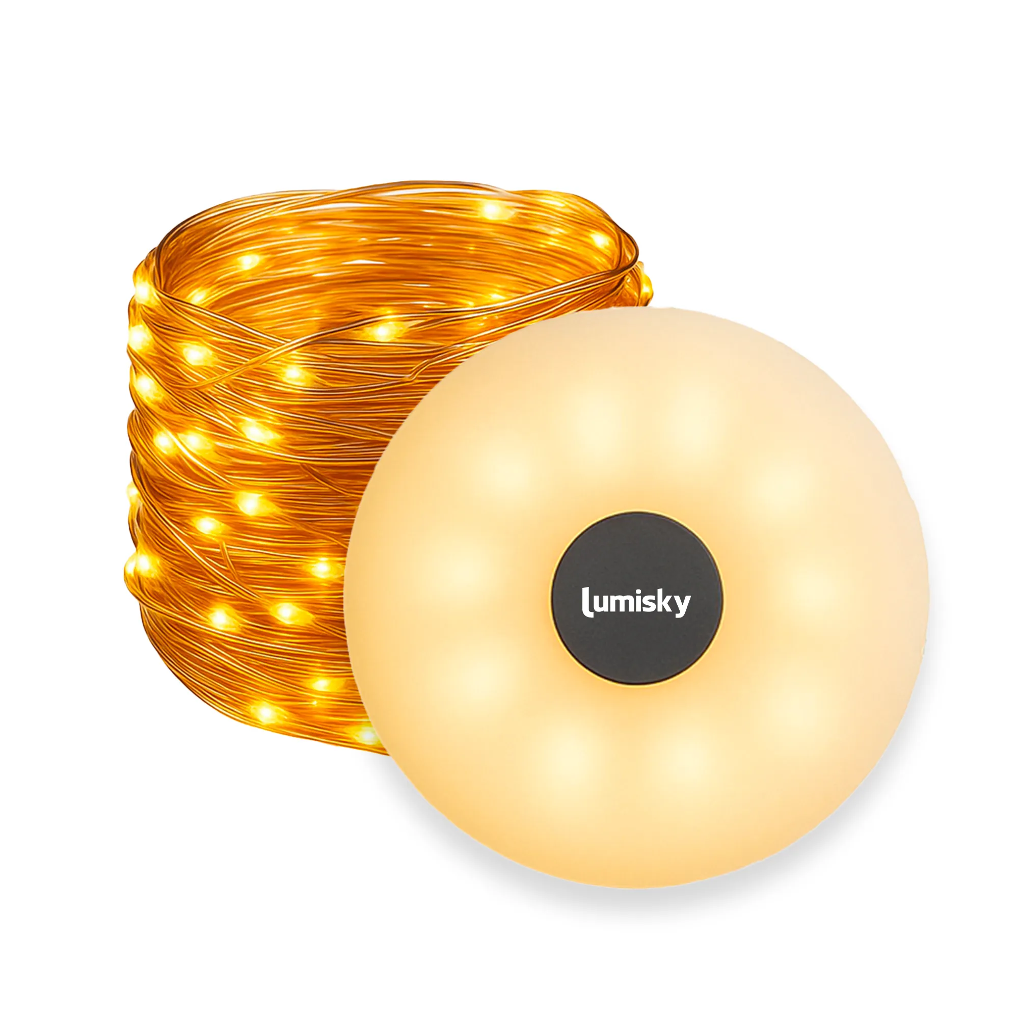Ghirlandă luminoasă ROLY [1]