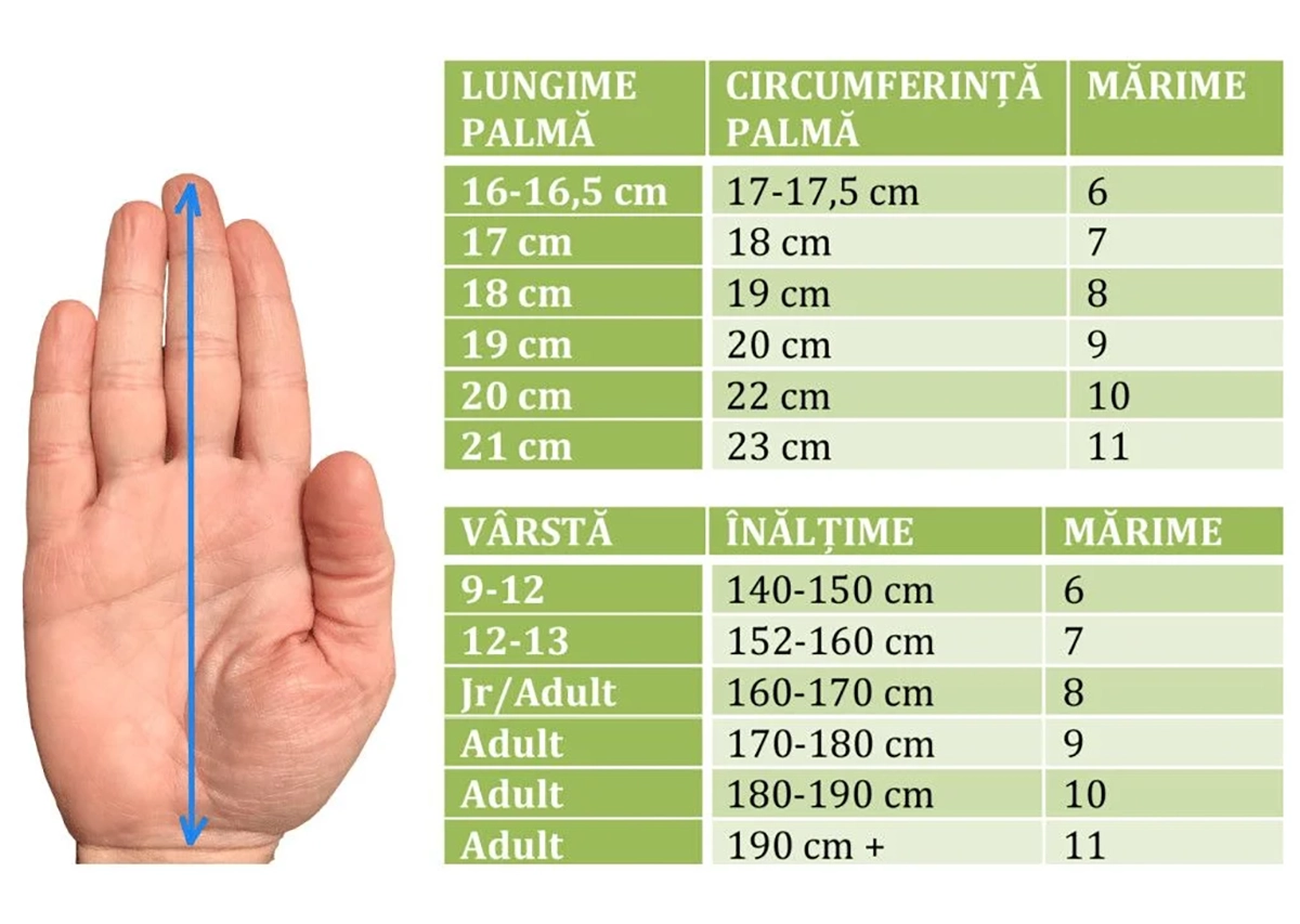 GHID DE MĂRIMI MĂNUȘI DE PORTAR