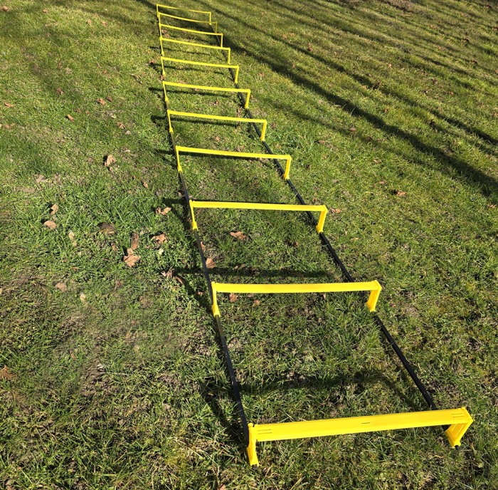 Scarita agilitate cu obstacole, 10 pasi [3]