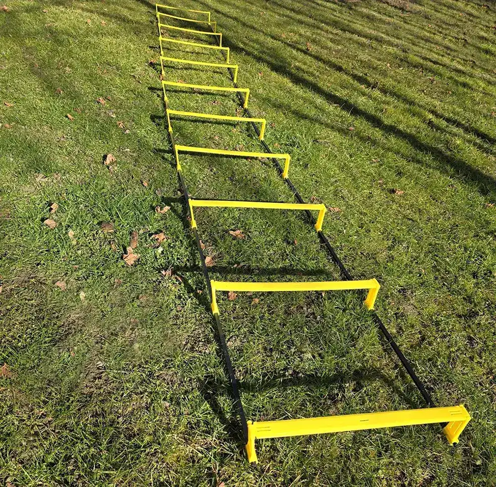 Scarita agilitate cu obstacole, 10 pasi [2]