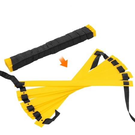 Scarita agilitate 10 m, 20 pasi [2]