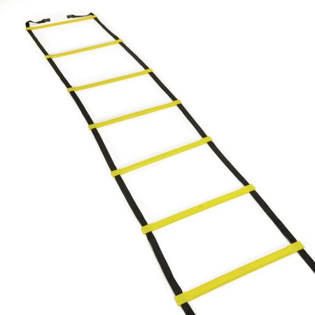 Scarita agilitate 10 m, 20 pasi [1]